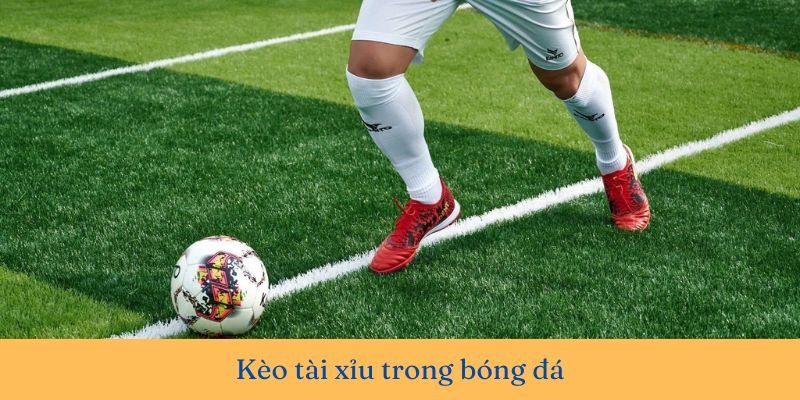 Kèo chấp 1.75 là gì? Tìm hiểu chi tiết về cách chơi và chiến thuật
